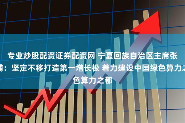 专业炒股配资证券配资网 宁夏回族自治区主席张雨浦：坚定不移打造第一增长极 着力建设中国绿色算力之都