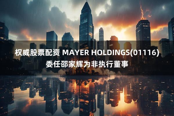 权威股票配资 MAYER HOLDINGS(01116)委任邵家辉为非执行董事