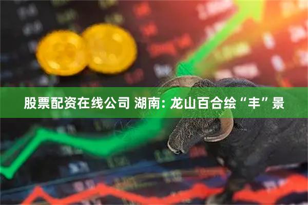 股票配资在线公司 湖南: 龙山百合绘“丰”景
